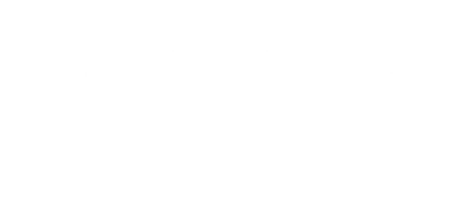 Essential Shorts V1